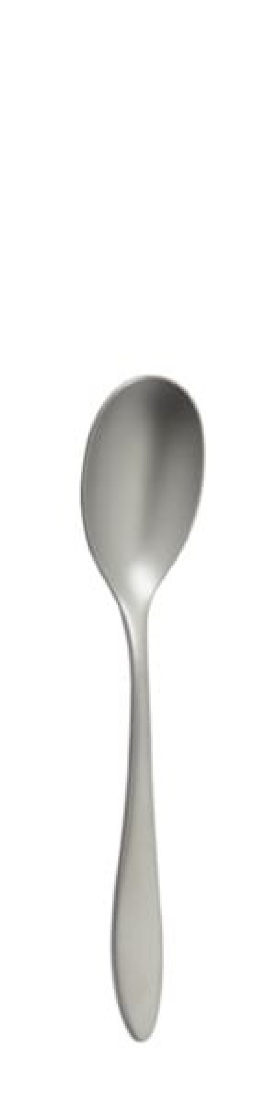 Terra Retro Dessert spoon 195 mm - Solex in the group Table setting / Cutlery / Spoons at KitchenLab (1284-21648)