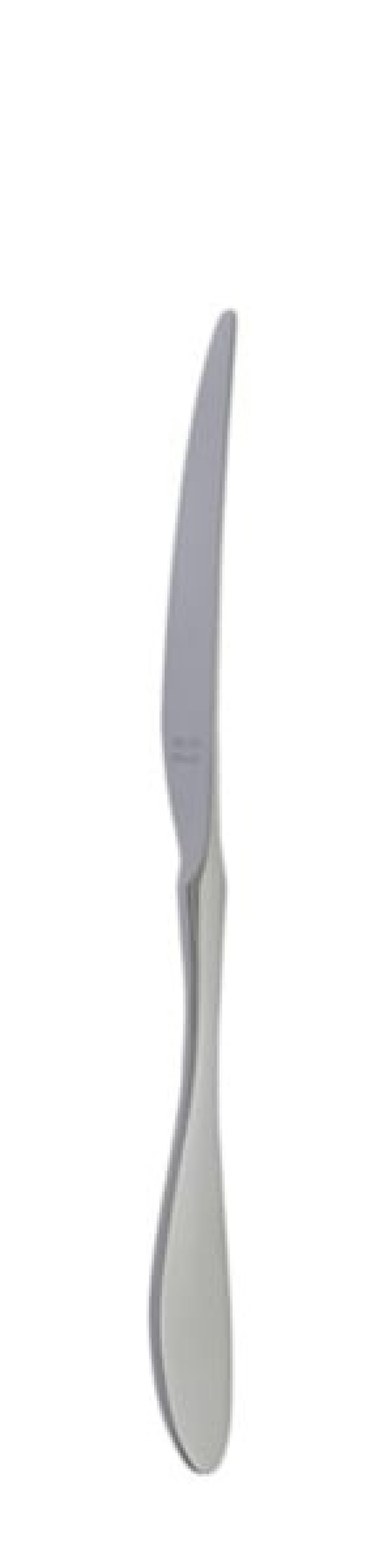 Terra Retro Table knife 239 mm - Solex in the group Table setting / Cutlery / Knives at KitchenLab (1284-21659)