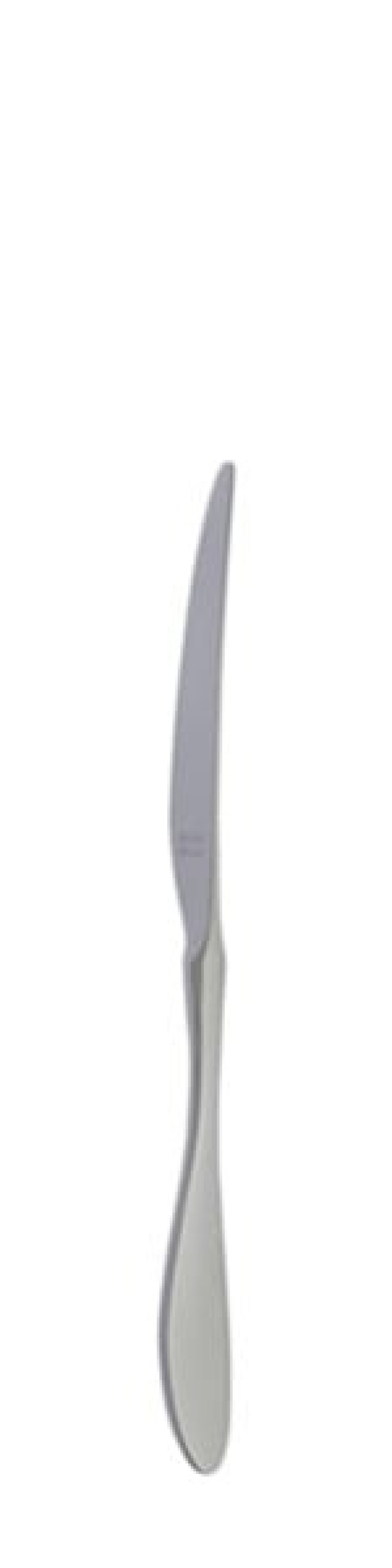 Terra Retro Dessert knife 210 mm - Solex in the group Table setting / Cutlery / Knives at KitchenLab (1284-21660)