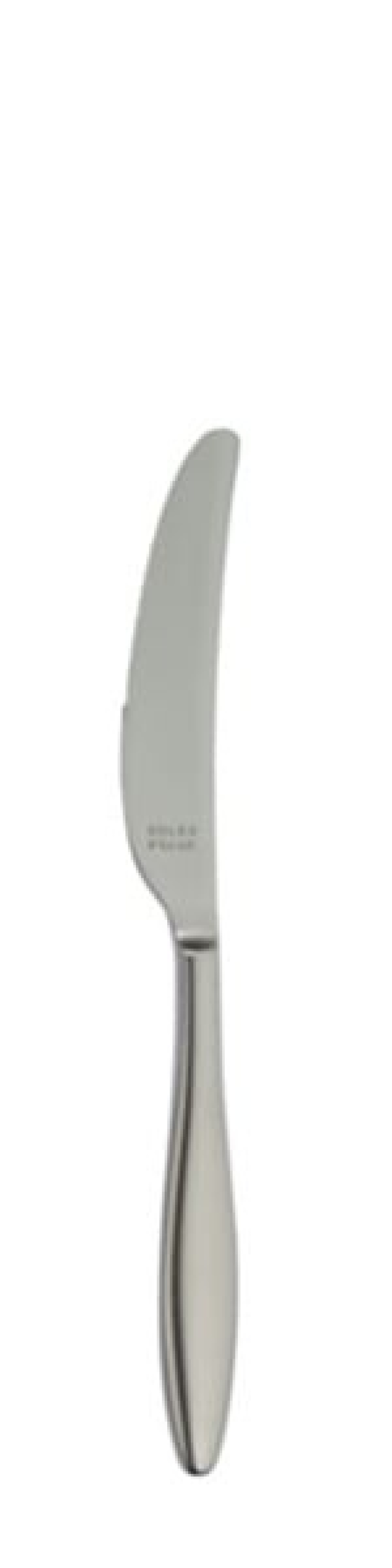 Terra Retro Dessert knife 216 mm - Solex in the group Table setting / Cutlery / Knives at KitchenLab (1284-21662)