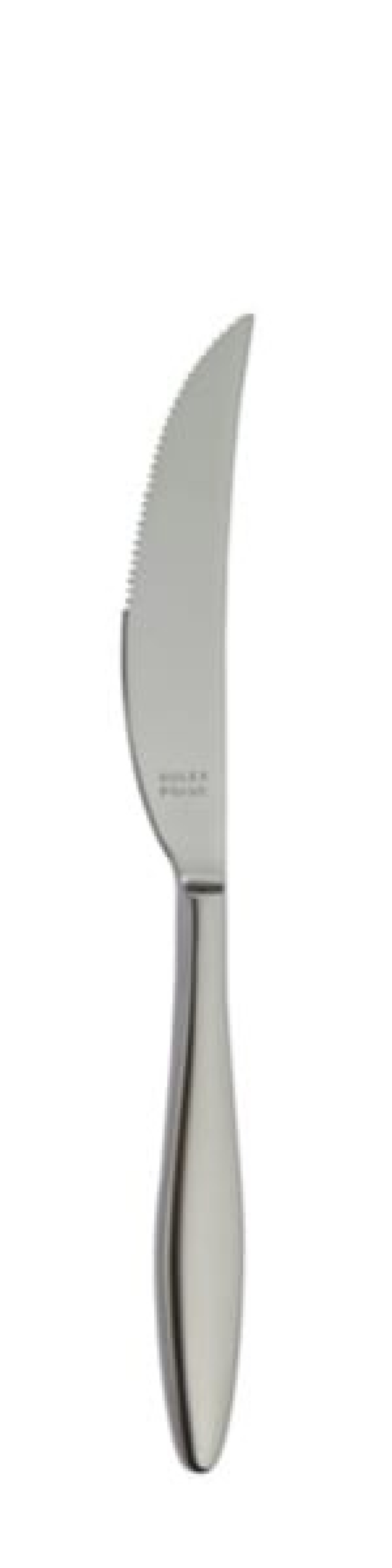 Terra Retro Steak knife 239 mm - Solex in the group Table setting / Cutlery / Knives at KitchenLab (1284-21663)