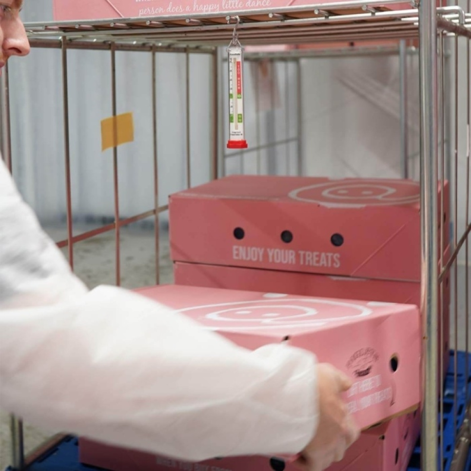 Refrigeration and freezer thermometer - ETI