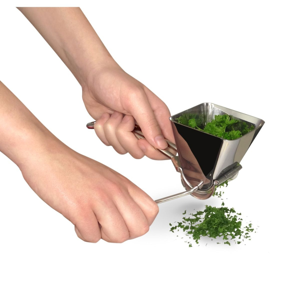 Moulin à persil - Tellier