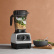 Blender, Explorian E520, white - Vitamix