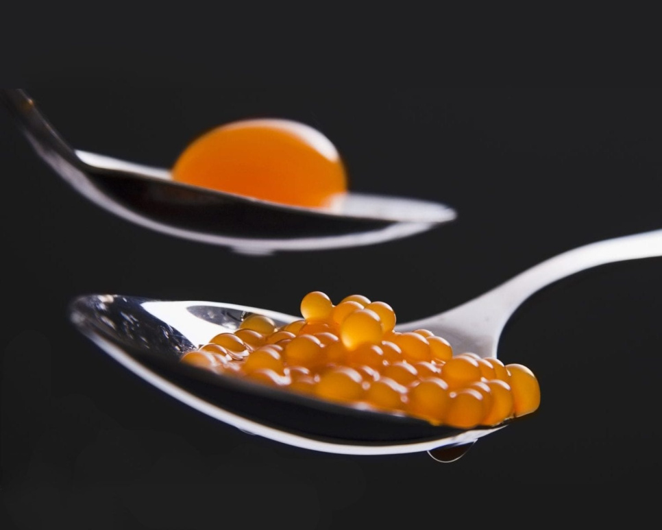 Course in molecular gastronomy (Stockholm) in the group at KitchenLab (1317-17983)