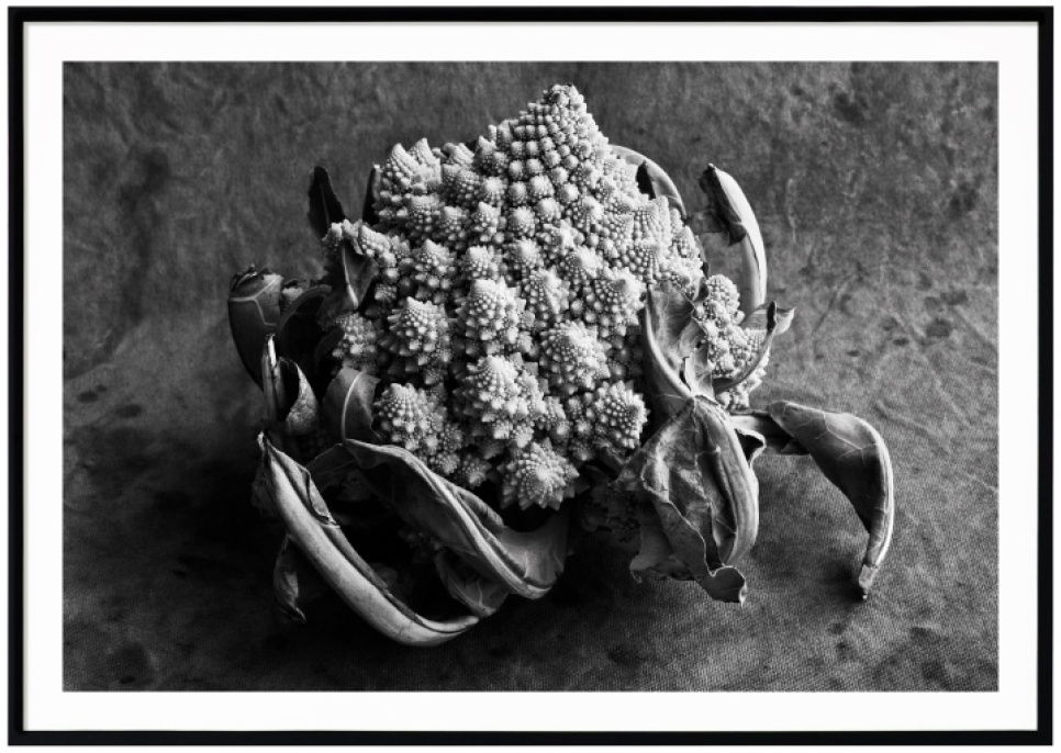 Kitchen items - Romanesco Rapture in the group Kitchen interior / Posters at KitchenLab (1317-26484)