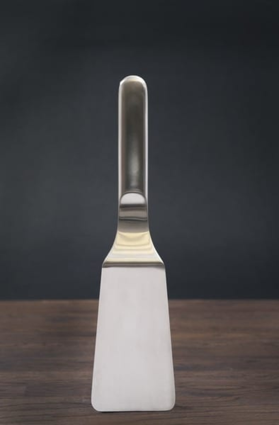 Spatula - Professional Secrets