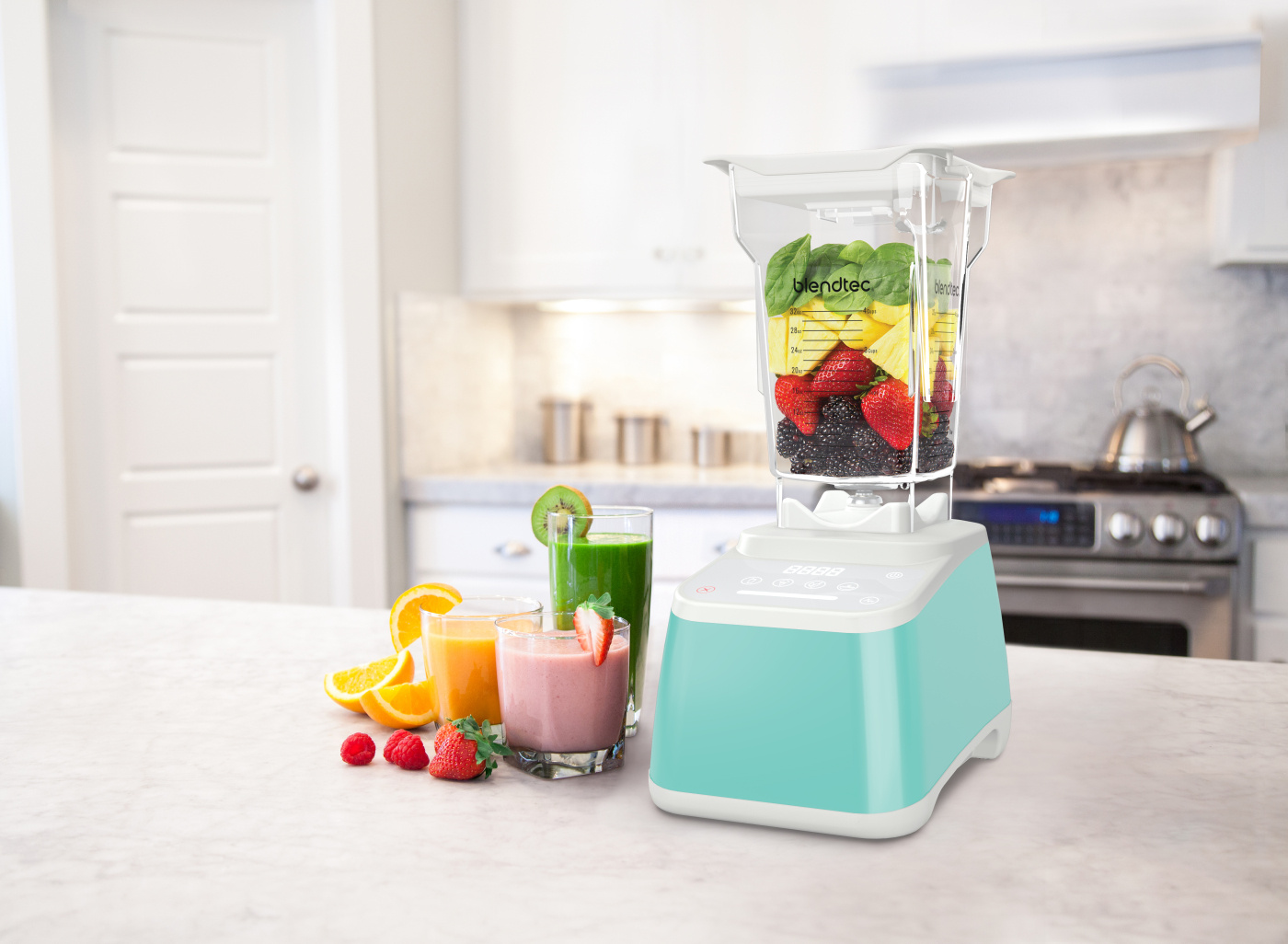 Seafoam Blend Jets SF-16 Sea Foam Motor Treatment 16oz SF16