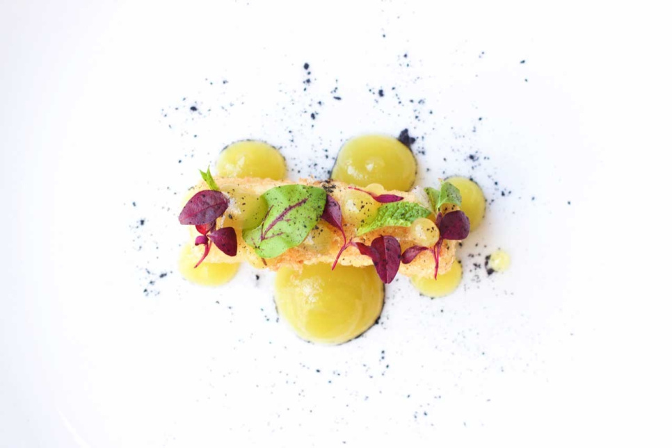 Citric acid (E330) - The Kitchen Lab