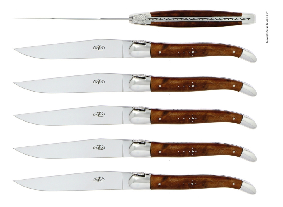 Six knives, Tuja handle, polished, Tradition - Forge de Laguiole in the group Table setting / Cutlery / Knives at KitchenLab (1446-13141)