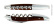 Snakewood sommelier knife, polished, Tradition - Forge de Laguiole