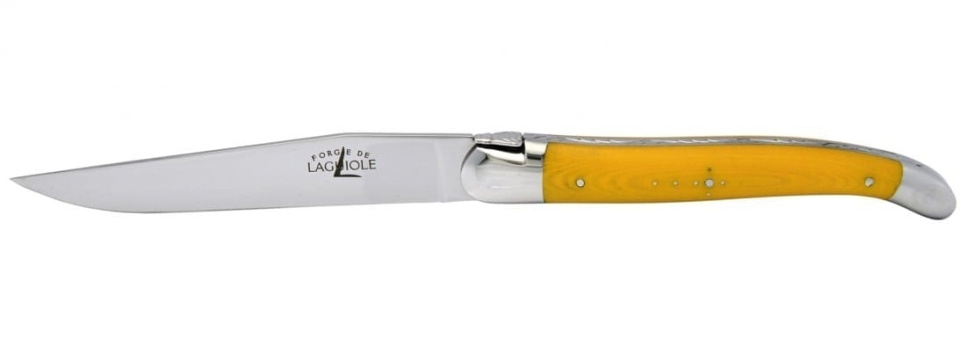 Set of 2 food knives - Yellow and purple handle