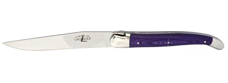 Set of 2 food knives - Yellow and purple handle