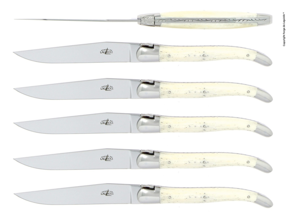 Set of 6 dining knives, bone handles - Forge de Laguiole in the group Table setting / Cutlery / Knives at KitchenLab (1446-26106)