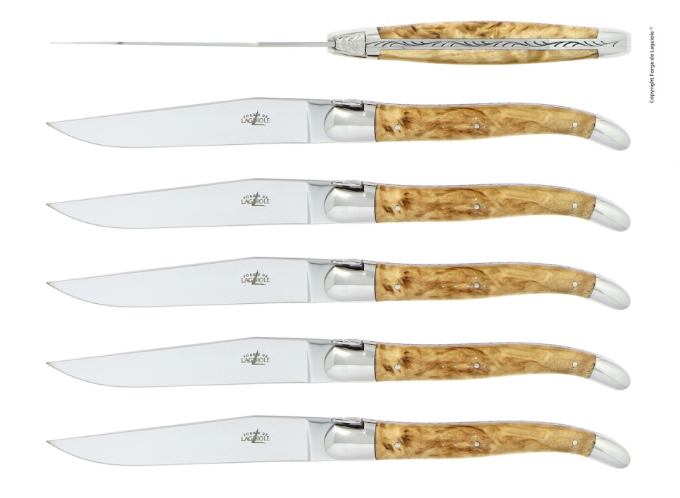 Sechs Messer, Griff aus Birke, poliert, Tradition - Forge de Laguiole in der Gruppe Tischgedeck / Besteck / Messer bei The Kitchen Lab (1446-32910)