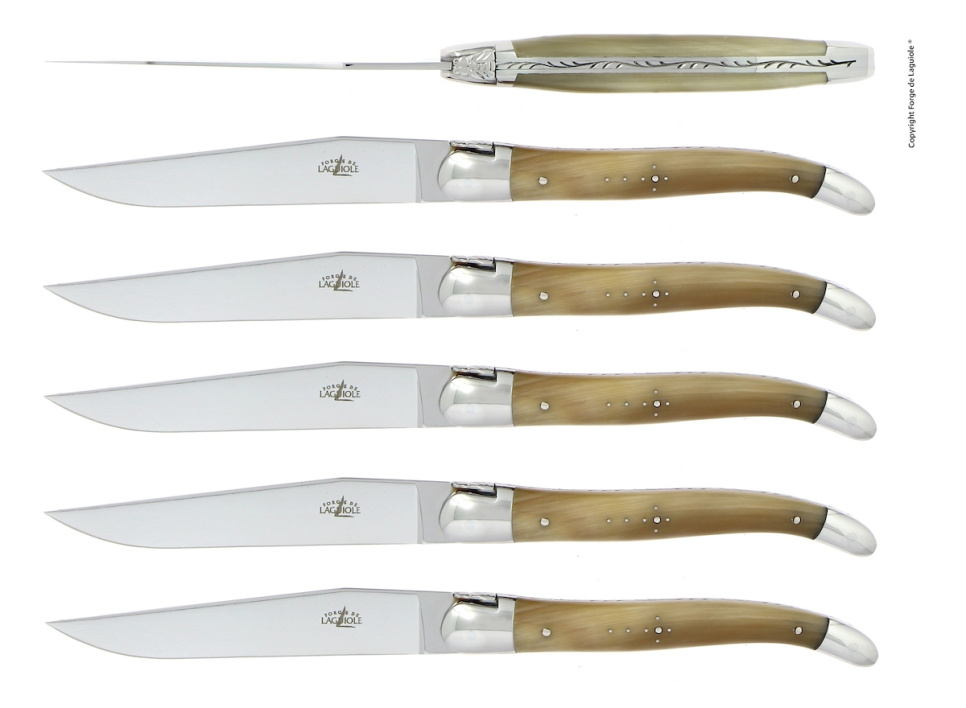 Six knives, Light Horn handle, polished, Tradition - Forge de Laguiole in the group Table setting / Cutlery / Knives at KitchenLab (1446-32913)