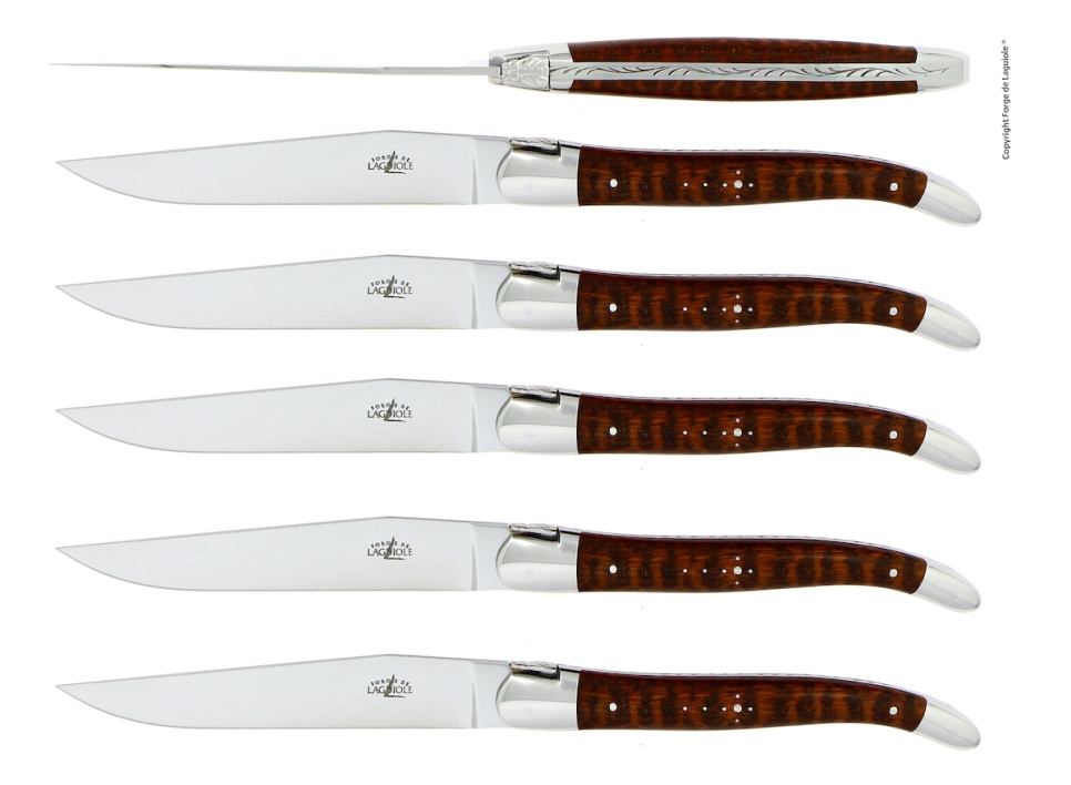 Six knives, Snakewood handle, polished, Tradition - Forge de Laguiole in the group Table setting / Cutlery / Knives at KitchenLab (1446-32917)