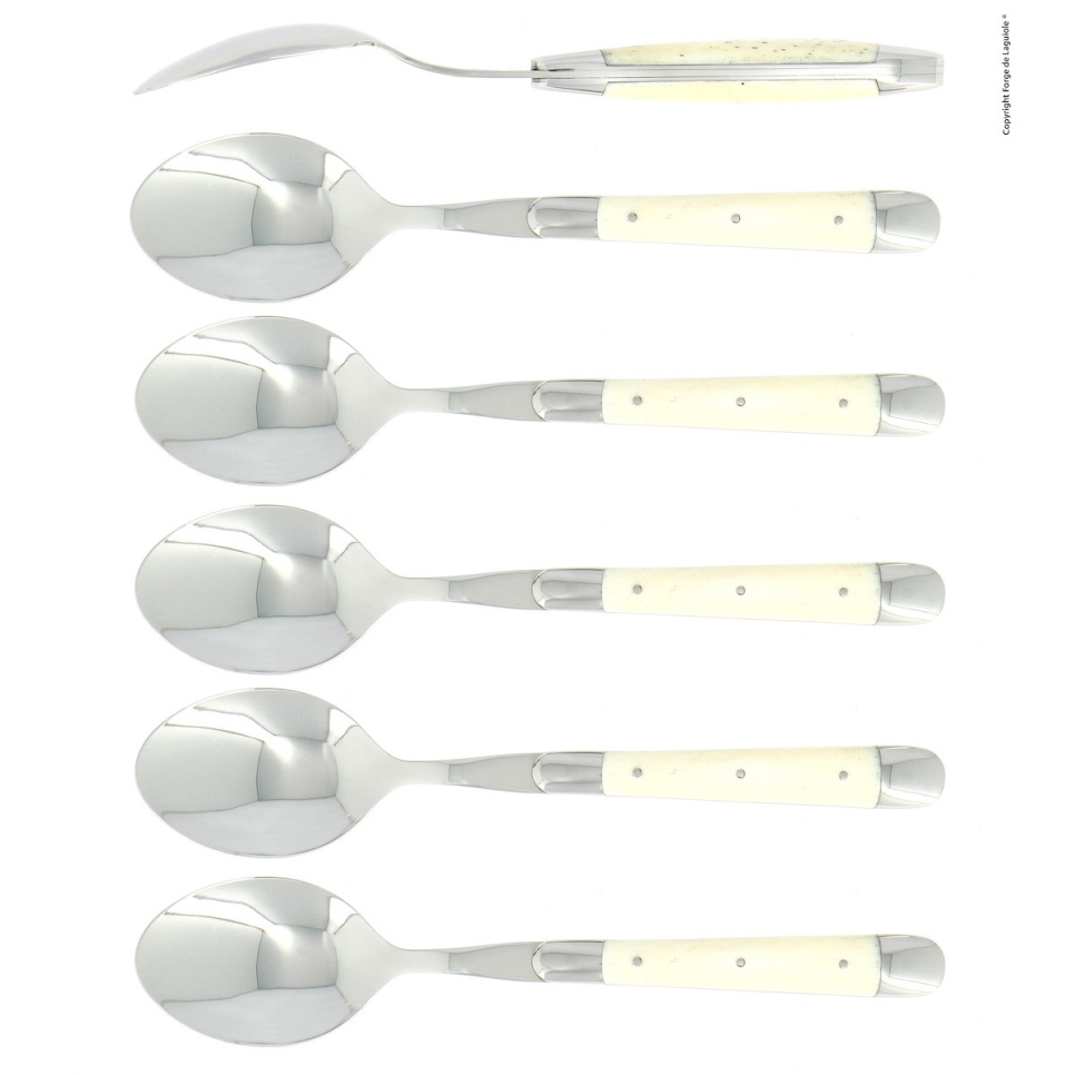 Six spoons, bone handle, polished, Tradition - Forge de Laguiole in the group Table setting / Cutlery / Spoons at KitchenLab (1446-32936)