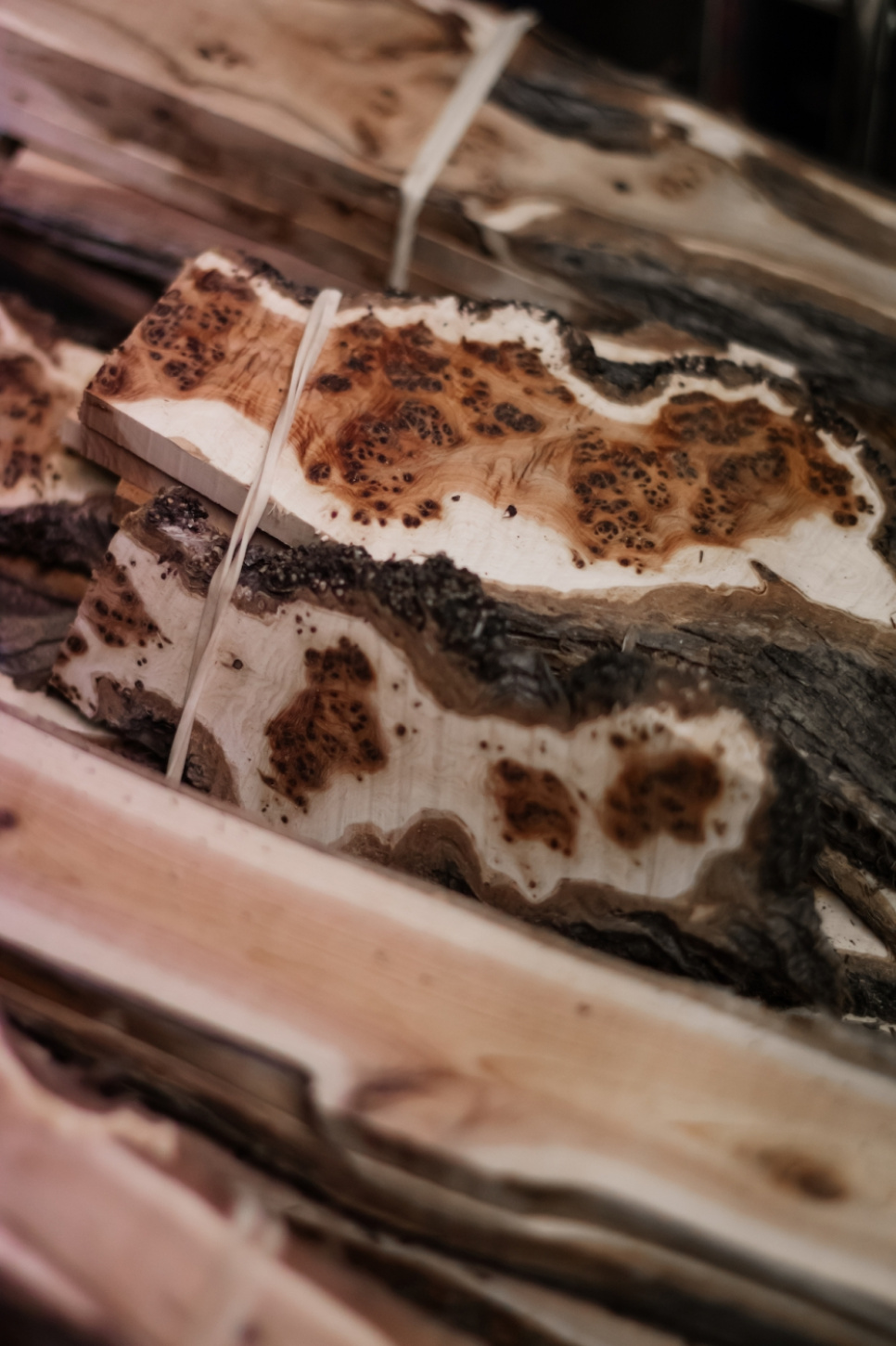 Sommeliermesser aus Olive, damasziert mit Dekoration, Sammlung - Forge de Laguiole