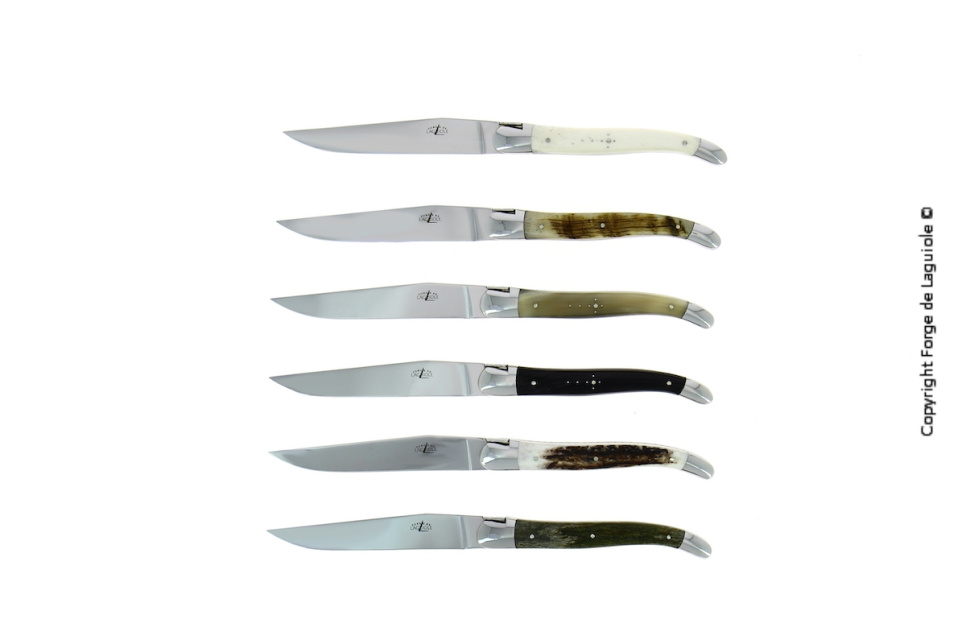 Six couteaux, manches en matières animales diverses, polis, Tradition - Forge de Laguiole dans le groupe Arts de la table / Couverts / Couteaux l\'adresse The Kitchen Lab (1446-32983)