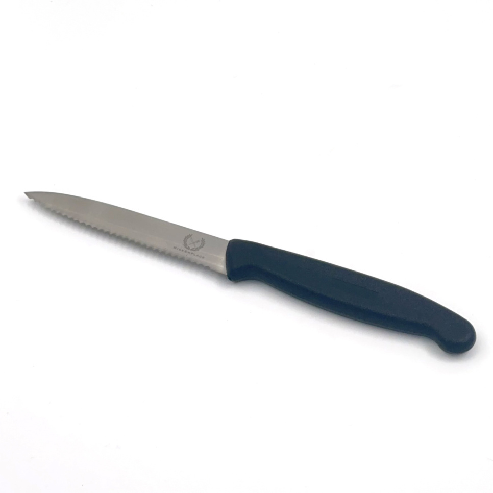 Serrated paring knife - MiseEnPlace in the group Cooking / Kitchen knives / Paring knives at KitchenLab (1450-28996)