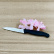 Serrated paring knife - MiseEnPlace