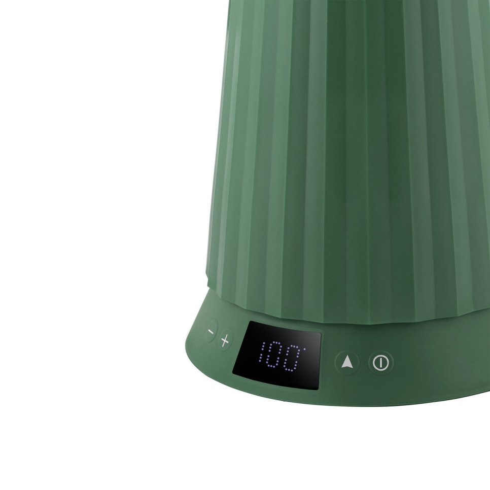 Kettle with temperature control, Plissé, Green - Alessi