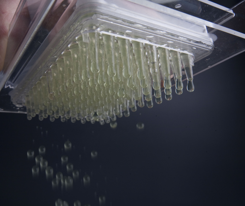 Caviar box for molecular cooking - 100% Chef