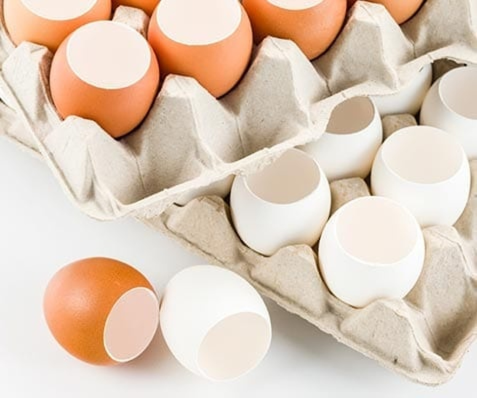 Top cutter for chicken eggs - 100% Chef