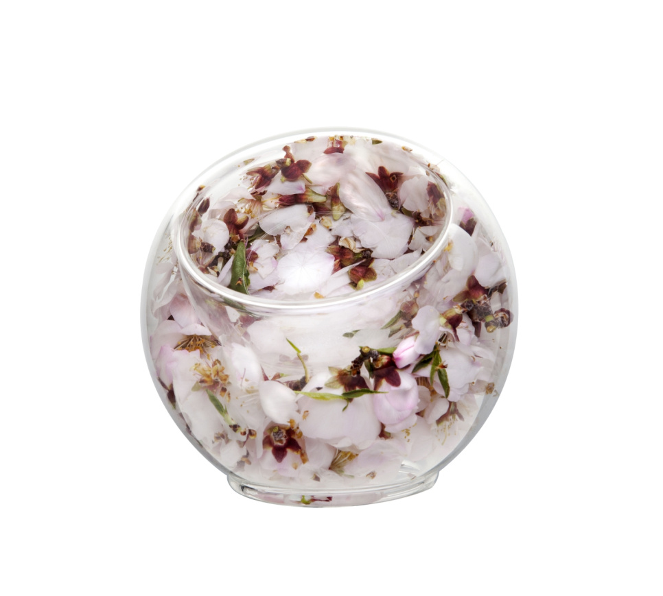 Bol à glace en verre borosilicaté - 100% Chef