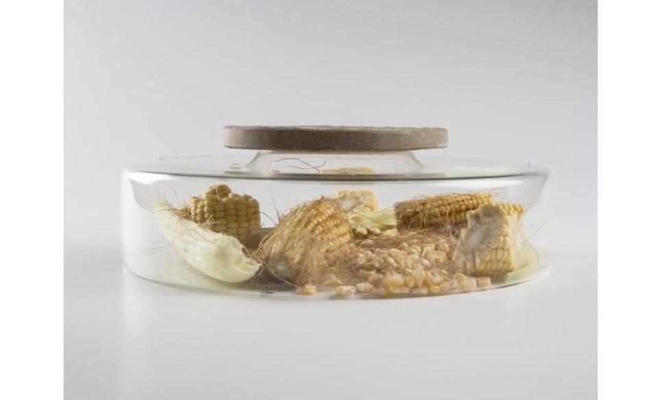 Advance Scene, plat de service en verre borosilicaté - 100% Chef dans le groupe Arts de la table / Autre pour les arts de la table et service / Articles spéciaux l\'adresse The Kitchen Lab (1532-20113)