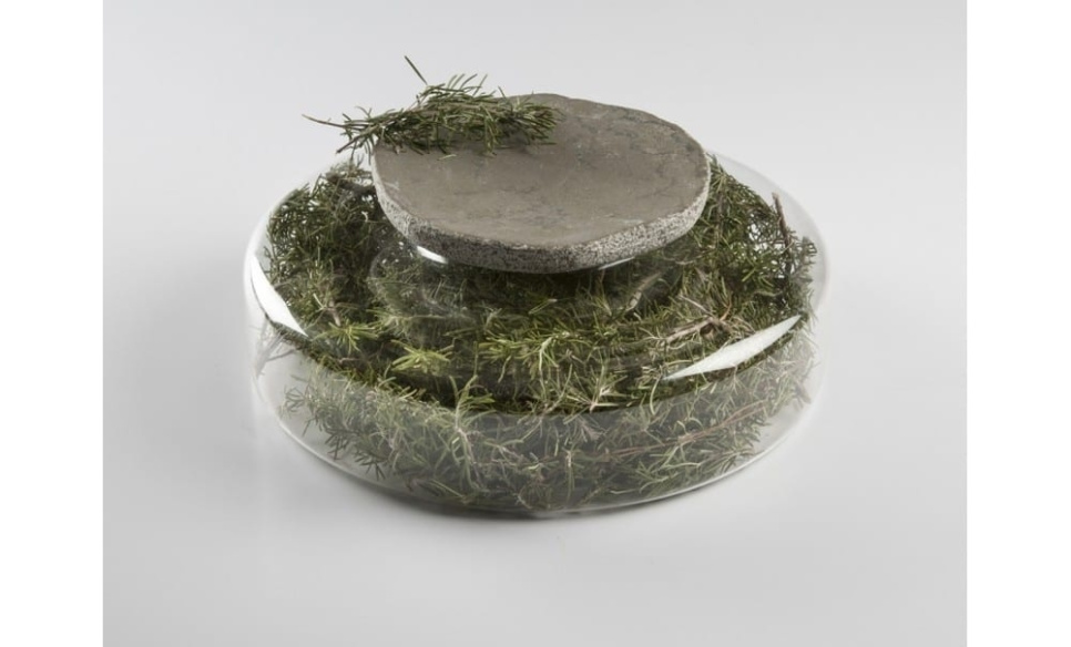 Advance Scene, plat de service en verre borosilicaté - 100% Chef