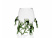 Glass bowl, Algas Cup - 