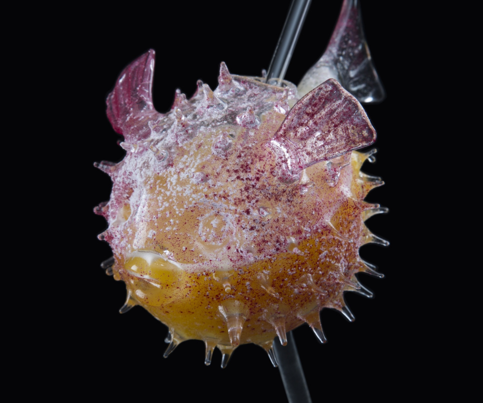 Cocktail glass, Fugu - 100% Chef