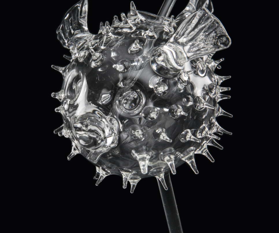 Cocktail glass, Fugu - 100% Chef