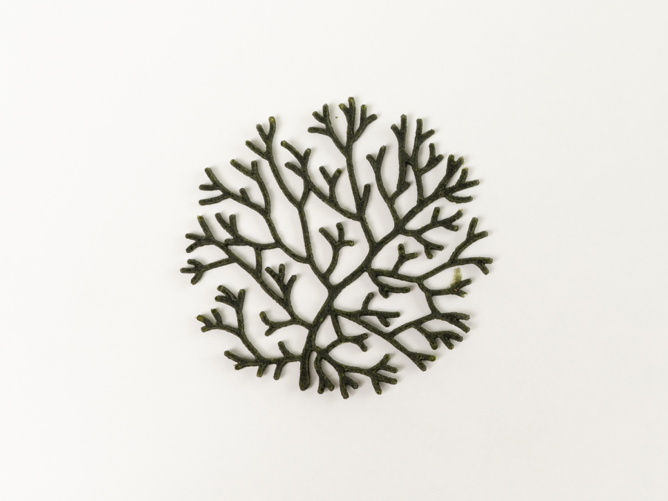 Silikonform für Tuille, Alg - 100% Chef