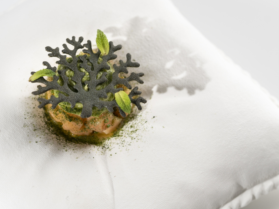 Silikonform für Tuille, Koralle - 100% Chef