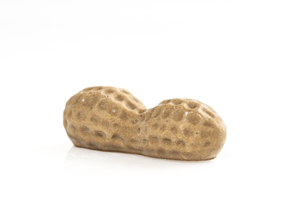 Moule en silicone pour décoration, cacahuète - 100% Chef