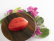 Moule en silicone pour la décoration, Lèvres - 100% Chef