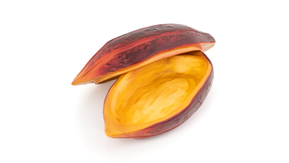 Serving dish, Cocoa Bean, 26 x 12 cm - 100% Chef in the group Table setting / Plates, Bowls & Dishes / Fat at KitchenLab (1532-31113)