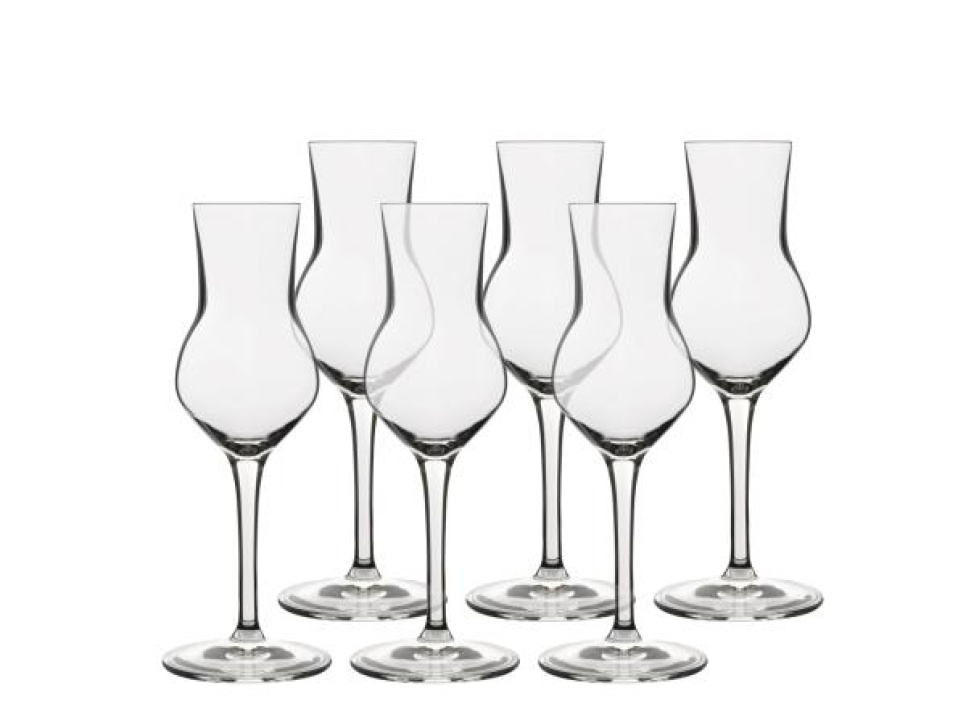 Grappa glass, Atelier, 8 cl, 6-pack - Luigi Bormioli in the group Table setting / Glass / Spirit Glasses at KitchenLab (1544-30949)