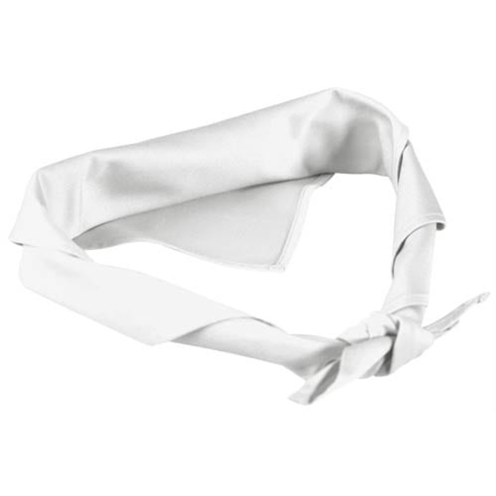 Chef\'s Mustache - Toni Lee in the group Cooking / Kitchen textiles / Other equipment at KitchenLab (1607-18489)