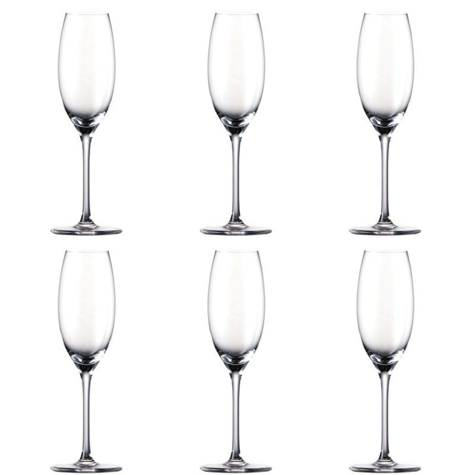 Flûte à champagne, Thomas DiVino, 6 pièces dans le groupe Cocktails et Vin / Verre à vin / Verre à champagne l\'adresse The Kitchen Lab (1798-12739)