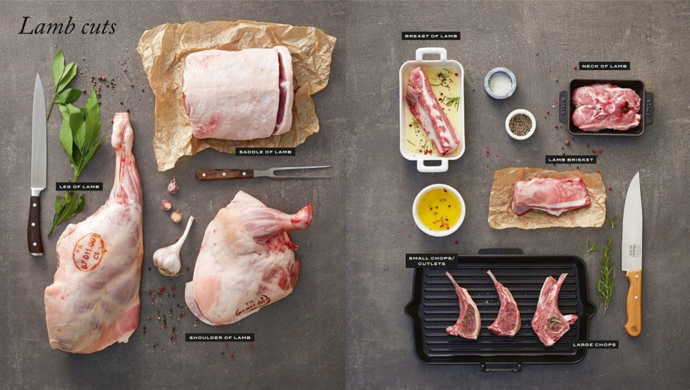 Institut Paul Bocuse Gastronomie