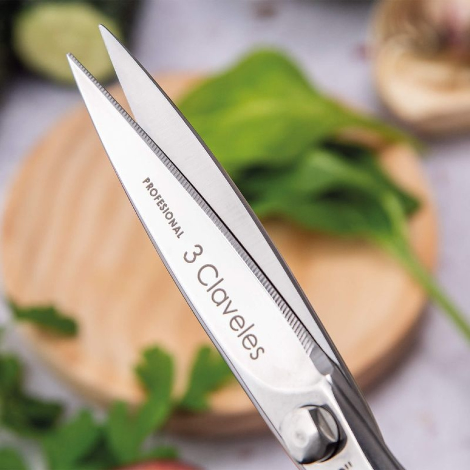 Kitchen scissors 20 cm, Class - 3 Claveles