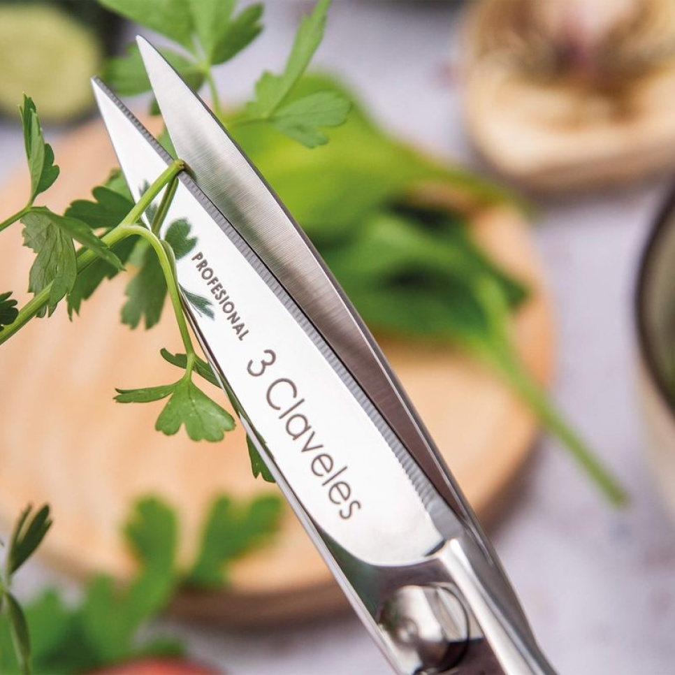 Kitchen scissors 20 cm, Class - 3 Claveles