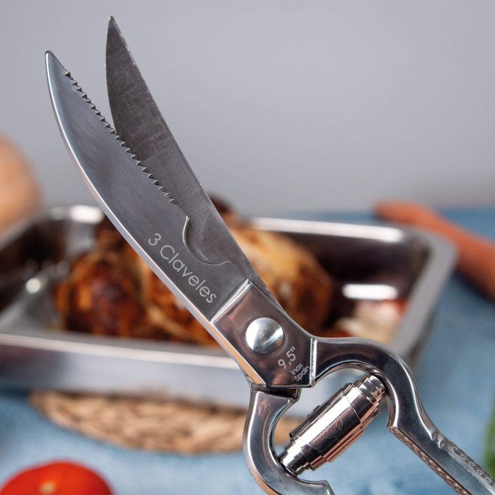 Professionelle Geflügelschere mit Feder - 3 Claveles