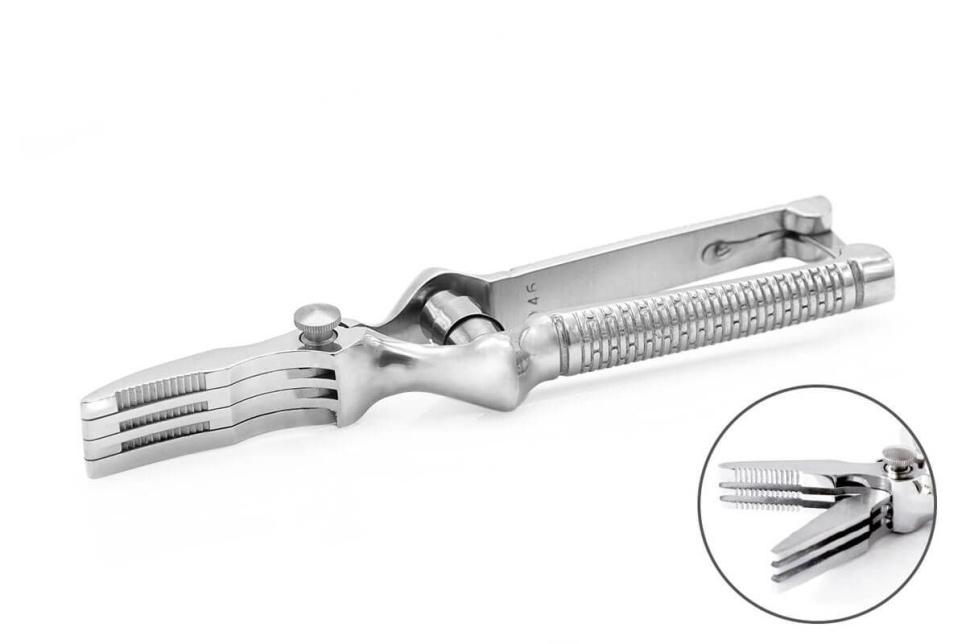 Gerader Masticator, Schere für rohes Fleisch - 3 Claveles