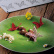 Silicone shape for Tuile GG050 large butterfly, gourmand - Pavoni