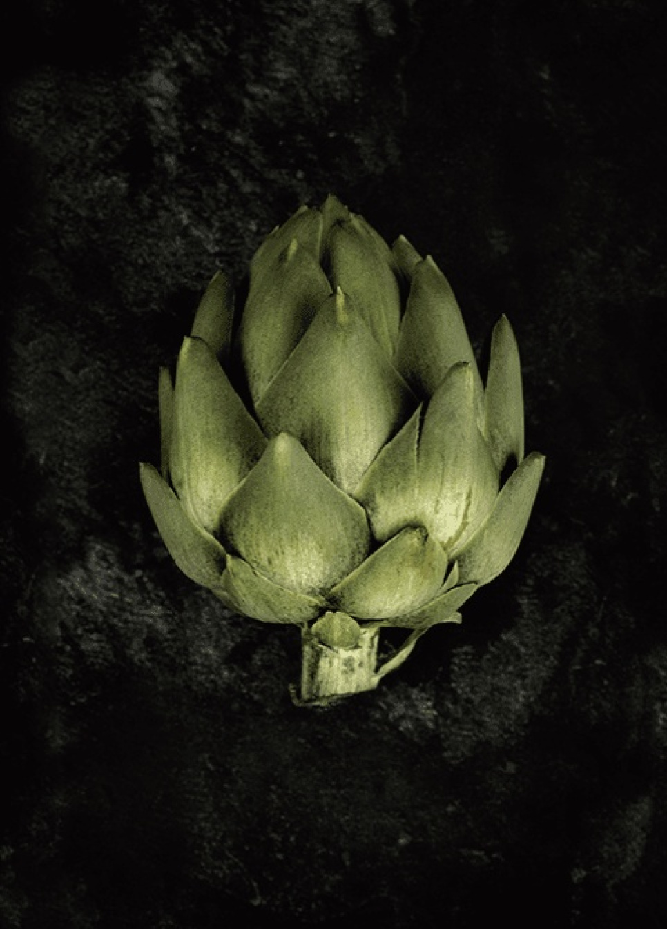 Kitchen posters, Artichoke - Arty Swede in the group Kitchen interior / Posters at KitchenLab (1836-20738)